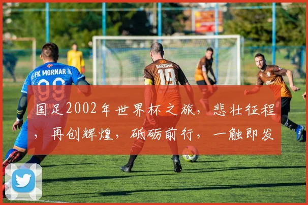 国足2002年世界杯之旅，悲壮征程，再创辉煌，砥砺前行，一触即发，共鉴传奇。