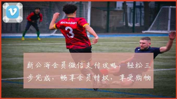 新公海会员微信支付攻略，轻松三步完成，畅享会员特权，享受购物乐趣，告别繁琐