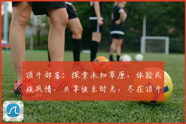 顶牛部落：探索未知草原，体验民族风情，共享快乐时光，尽在顶牛之旅