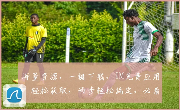海量资源，一键下载，IM免费应用，轻松获取，两步轻松搞定，必看攻略