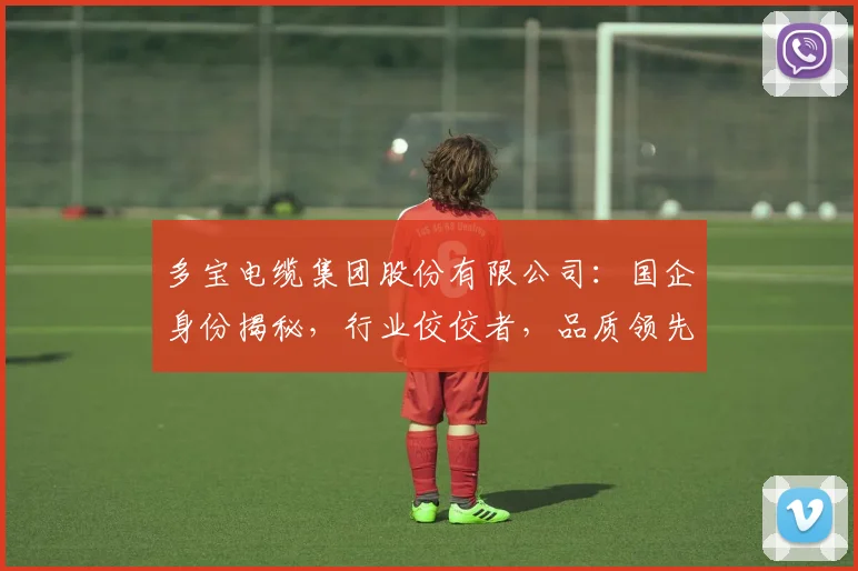 多宝电缆集团股份有限公司：国企身份揭秘，行业佼佼者，品质领先，三重优势，一探究竟